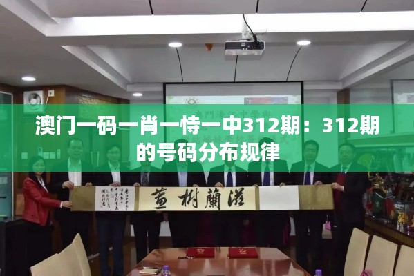 澳門一碼一肖一恃一中312期:312期的號碼分布規(guī)律