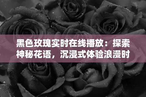 黑色玫瑰實(shí)時(shí)在線播放:探索神秘花語,沉浸式體驗(yàn)浪漫時(shí)光