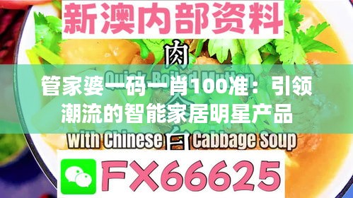 管家婆一碼一肖100準(zhǔn)：引領(lǐng)潮流的智能家居明星產(chǎn)品