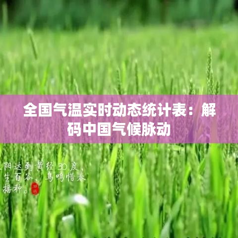 全國(guó)氣溫實(shí)時(shí)動(dòng)態(tài)統(tǒng)計(jì)表:解碼中國(guó)氣候脈動(dòng)