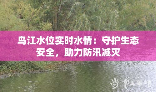 鳥(niǎo)江水位實(shí)時(shí)水情：守護(hù)生態(tài)安全，助力防汛減災(zāi)