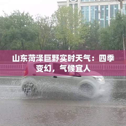山東菏澤巨野實時天氣：四季變幻，氣候宜人