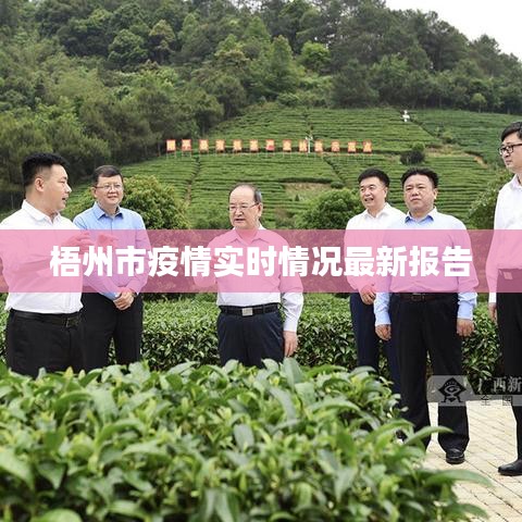 梧州市疫情實(shí)時(shí)情況最新報(bào)告