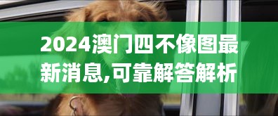 2024澳門四不像圖最新消息,可靠解答解析說明_4K版8.971