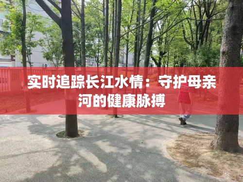 實(shí)時(shí)追蹤長(zhǎng)江水情：守護(hù)母親河的健康脈搏