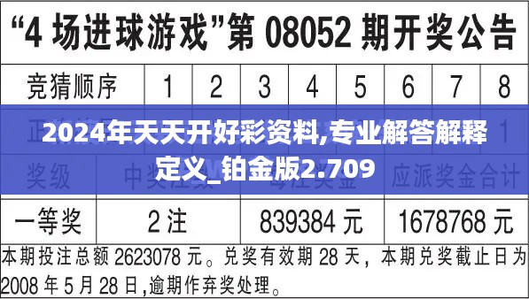 2024年天天開好彩資料,專業(yè)解答解釋定義_鉑金版2.709