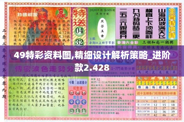 49特彩資料圖,精細設計解析策略_進階款2.428
