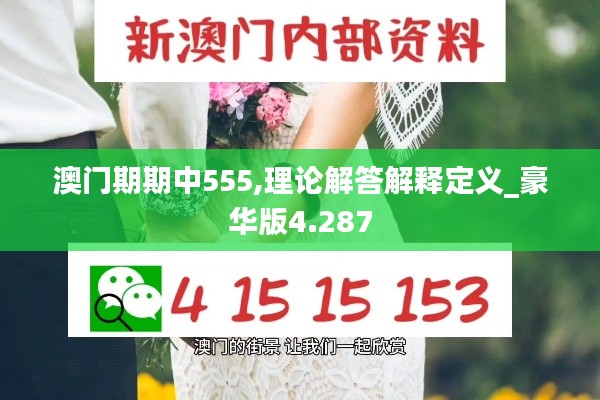 澳門期期中555,理論解答解釋定義_豪華版4.287