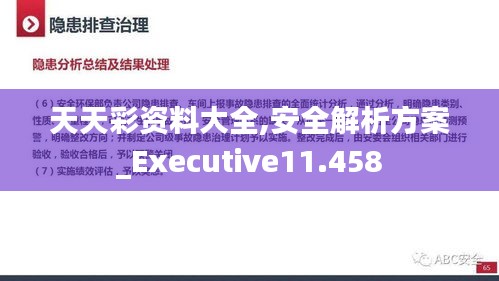 天天彩資料大全,安全解析方案_Executive11.458