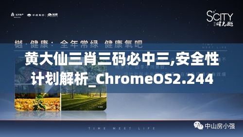 黃大仙三肖三碼必中三,安全性計(jì)劃解析_ChromeOS2.244