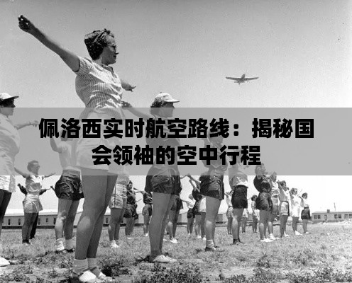 佩洛西實時航空路線：揭秘國會領袖的空中行程