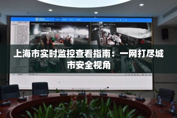 上海市實(shí)時(shí)監(jiān)控查看指南：一網(wǎng)打盡城市安全視角