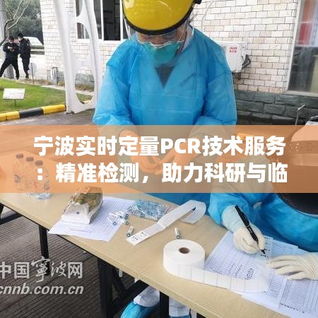 寧波實(shí)時(shí)定量PCR技術(shù)服務(wù)：精準(zhǔn)檢測(cè)，助力科研與臨床