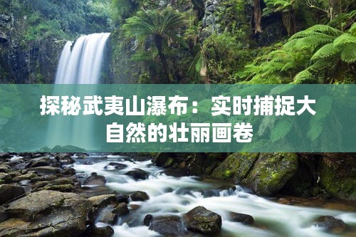 探秘武夷山瀑布：實時捕捉大自然的壯麗畫卷