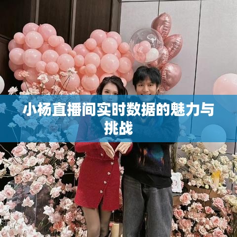 小楊直播間實(shí)時(shí)數(shù)據(jù)的魅力與挑戰(zhàn)