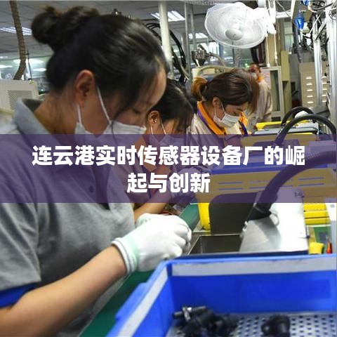 連云港實時傳感器設(shè)備廠的崛起與創(chuàng)新