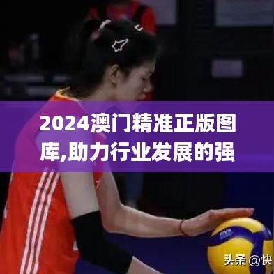 2024澳門(mén)精準(zhǔn)正版圖庫(kù),助力行業(yè)發(fā)展的強(qiáng)大資源_8K6.263
