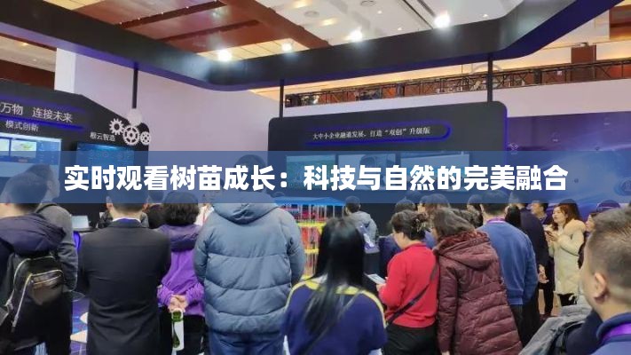 實時觀看樹苗成長：科技與自然的完美融合