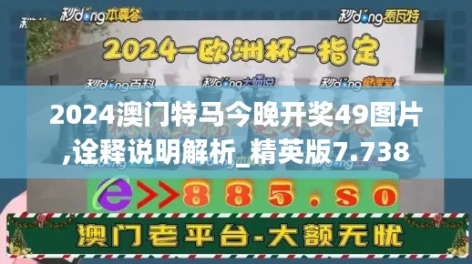 2024澳門特馬今晚開獎(jiǎng)49圖片,詮釋說明解析_精英版7.738