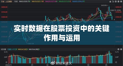 實時數(shù)據(jù)在股票投資中的關鍵作用與運用