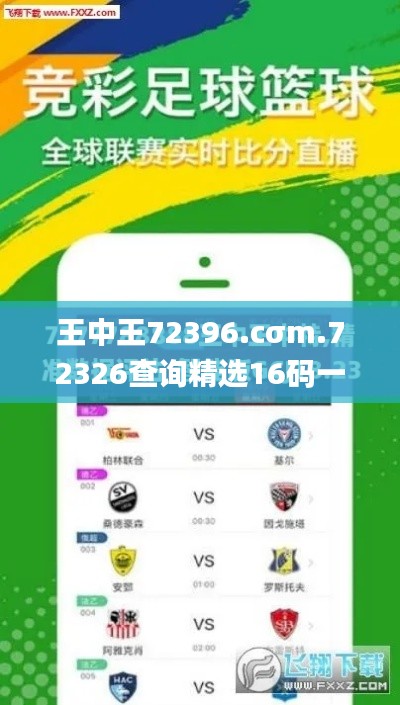 王中王72396.cσm.72326查詢精選16碼一,前沿評估說明_9DM1.432