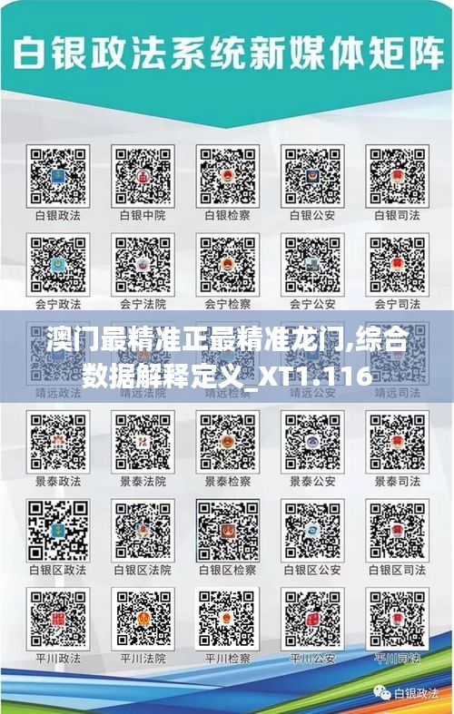 澳門(mén)最精準(zhǔn)正最精準(zhǔn)龍門(mén),綜合數(shù)據(jù)解釋定義_XT1.116