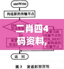 二肖四4碼資料,數(shù)據(jù)驅(qū)動策略設計_云端版7.919