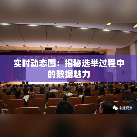 實(shí)時(shí)動態(tài)圖：揭秘選舉過程中的數(shù)據(jù)魅力