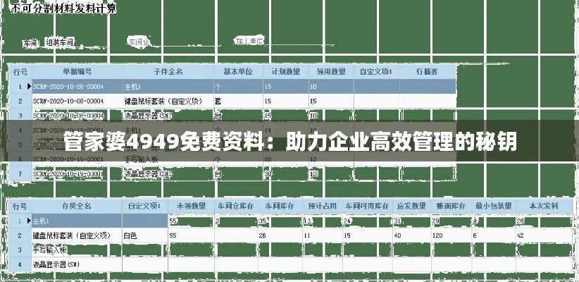 管家婆4949免費(fèi)資料:助力企業(yè)高效管理的秘鑰