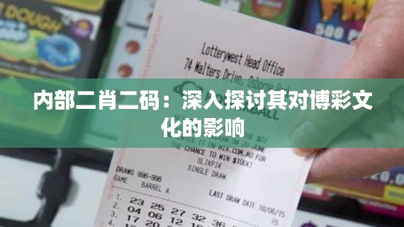 內(nèi)部二肖二碼：深入探討其對(duì)博彩文化的影響