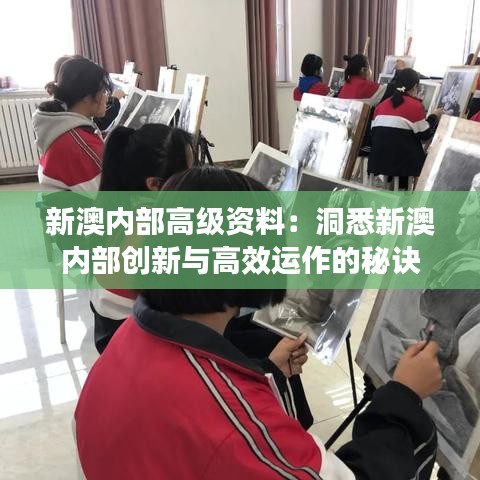 新澳內(nèi)部高級資料：洞悉新澳內(nèi)部創(chuàng)新與高效運(yùn)作的秘訣