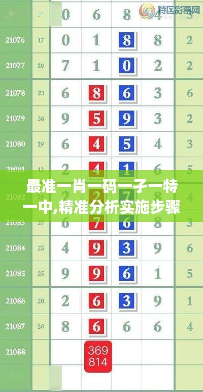 最準(zhǔn)一肖一碼一孑一特一中,精準(zhǔn)分析實(shí)施步驟_10DM11.840