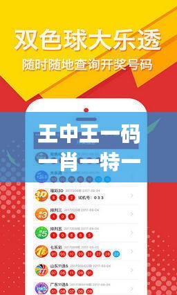 王中王一碼一肖一特一中2024年,數據支持計劃設計_V210.318