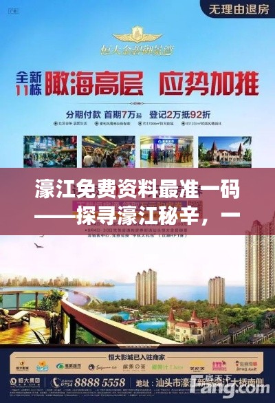 濠江免費資料最準(zhǔn)一碼——探尋濠江秘辛，一碼鎖定財富之門