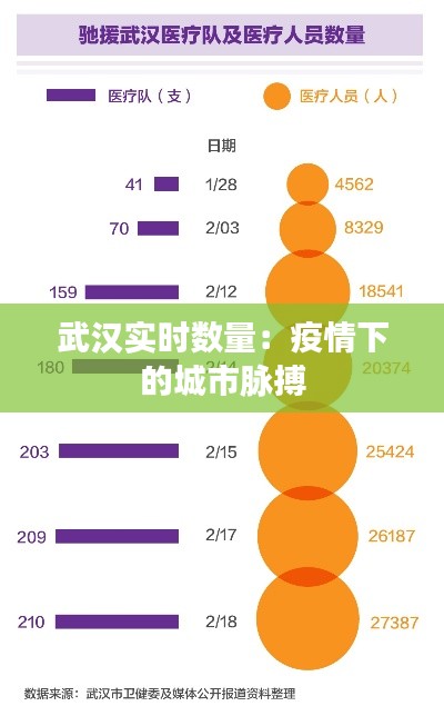 武漢實(shí)時(shí)數(shù)量：疫情下的城市脈搏