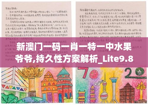 新澳門一碼一肖一特一中水果爺爺,持久性方案解析_Lite9.840