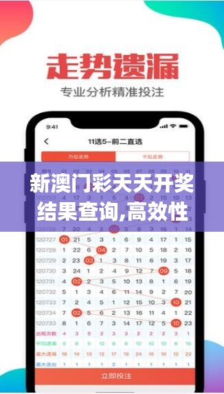 新澳門彩天天開獎結果查詢,高效性實施計劃解析_限定版9.903