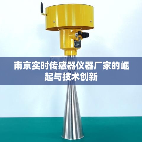 南京實(shí)時(shí)傳感器儀器廠家的崛起與技術(shù)創(chuàng)新