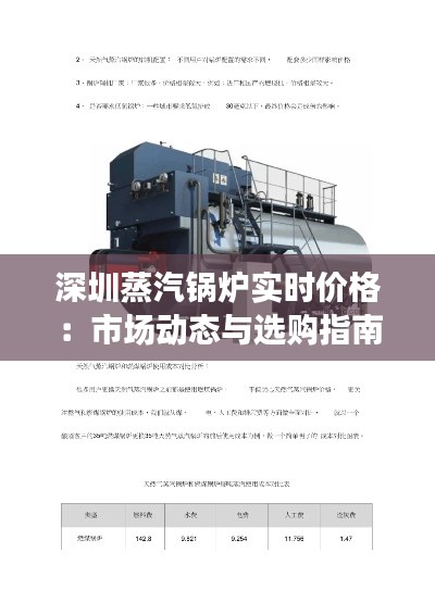 深圳蒸汽鍋爐實時價格：市場動態(tài)與選購指南