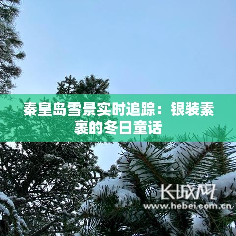 秦皇島雪景實(shí)時追蹤：銀裝素裹的冬日童話