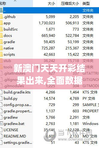 新澳門天天開彩結(jié)果出來(lái),全面數(shù)據(jù)解析執(zhí)行_復(fù)古款7.386