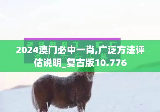 2024澳門必中一肖,廣泛方法評(píng)估說明_復(fù)古版10.776