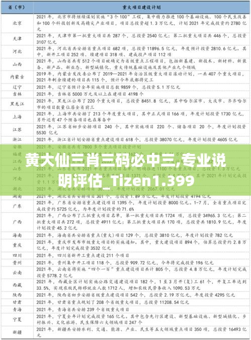 黃大仙三肖三碼必中三,專業(yè)說明評估_Tizen1.399