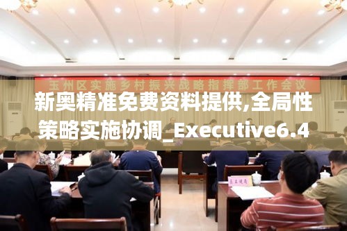 新奧精準免費資料提供,全局性策略實施協(xié)調(diào)_Executive6.405