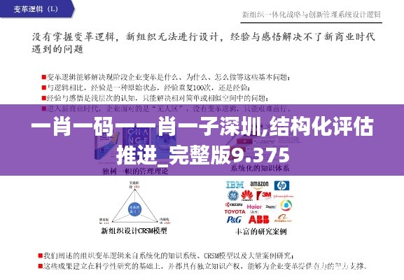 一肖一碼一一肖一子深圳,結(jié)構(gòu)化評估推進_完整版9.375
