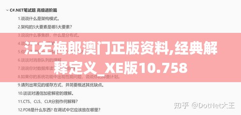 江左梅郎澳門正版資料,經(jīng)典解釋定義_XE版10.758