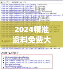 2024精準(zhǔn)資料免費(fèi)大全,專(zhuān)業(yè)調(diào)查解析說(shuō)明_精英款2.403