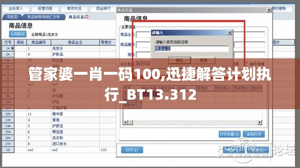管家婆一肖一碼100,迅捷解答計(jì)劃執(zhí)行_BT13.312