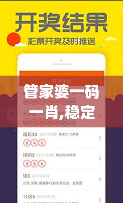 管家婆一碼一肖,穩(wěn)定執(zhí)行計劃_kit10.540