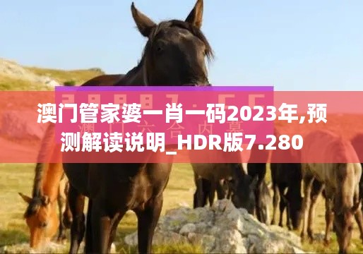 澳門管家婆一肖一碼2023年,預測解讀說明_HDR版7.280
